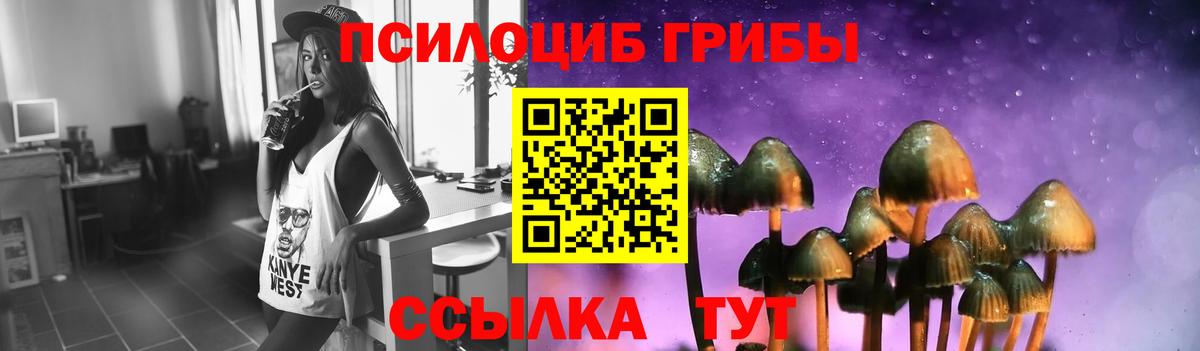 Новоалександровск  Галлюциногенные грибы мицелий  Вход с VPN 